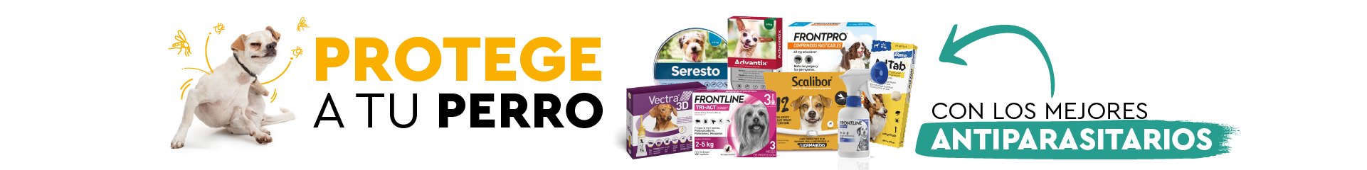 Antiparasitarios para perros: Protección eficaz contra parásitos internos y externos Antiparasitarios para perros | Collares, Pipetas... | Las mejores marcas