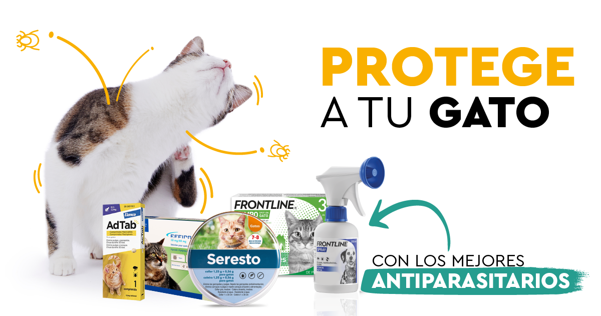 Antiparasitarios para gatos: Protección eficaz contra parásitos internos y externos Los mejores antiparasitarios para proteger a tu gato